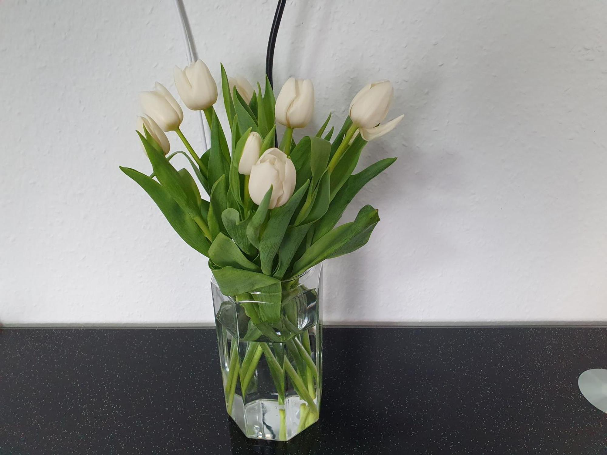 Apartement Weingarten Weingarten  Eksteriør billede